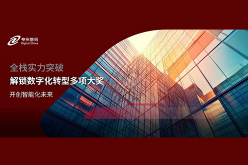 全栈实力突破，nangong28.com数码解锁数字化转型多项大奖